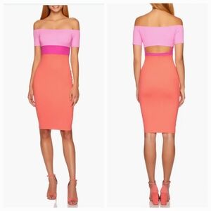 Susana Monaco Colorblock Off-the- Shoulder Bodycon Dress
